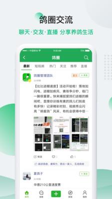 中国信鸽信息网  v20210906图2