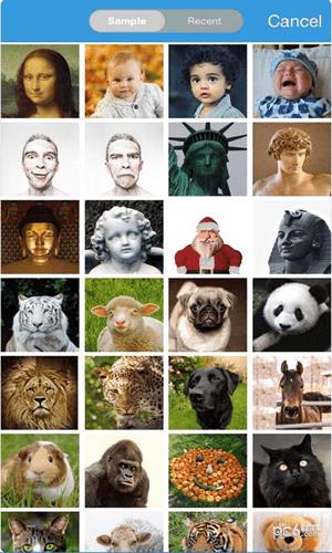 face story  v1.4图4