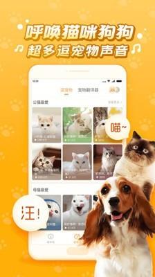 逗猫咪  v6.6.6.2图3