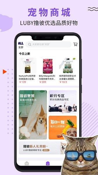 LUBY(交友)  v1.0.41图1