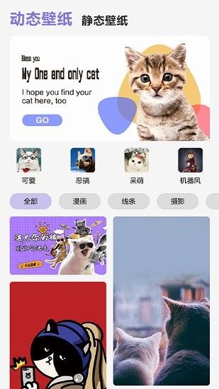 可爱喵喵壁纸大全  v1.0图2