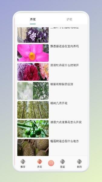 拍照識花識別植物