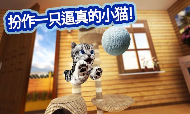 迷你小猫城市生存  v1.8图1