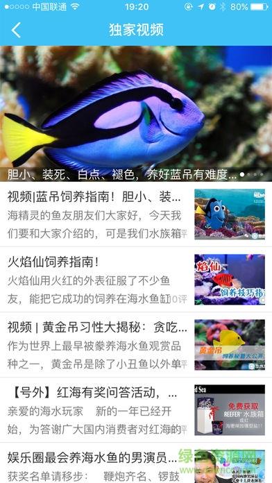 海精灵论坛