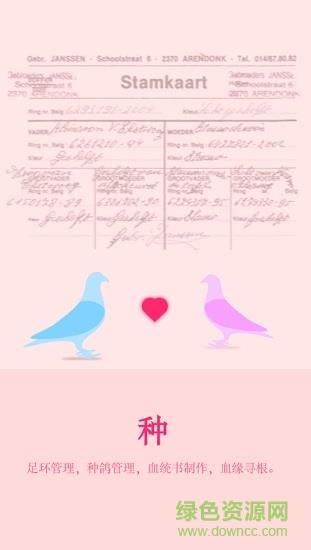 天下鴿譜