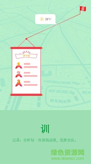 天下鴿譜  v1.1.5圖1