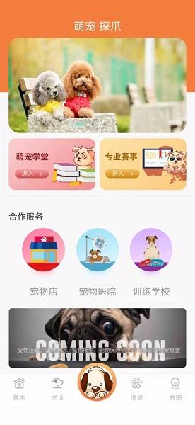 探爪小程序  v1.3.6圖2