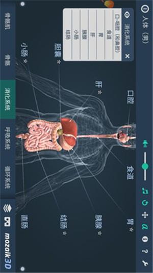 立体全身解剖模拟  v5.555图2