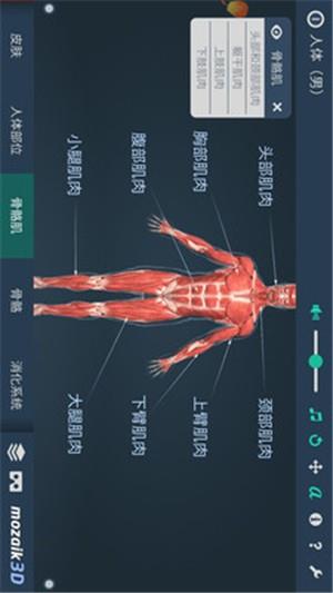 立体全身解剖模拟  v5.555图1