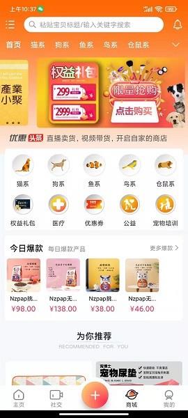 寵友社交平臺  v1.0.6圖4