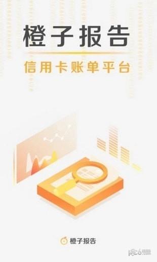 橙子报告  v1.0.0图1