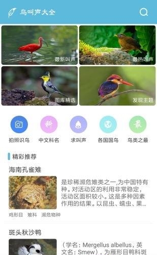 鸟叫声大全  v3.5.8图1