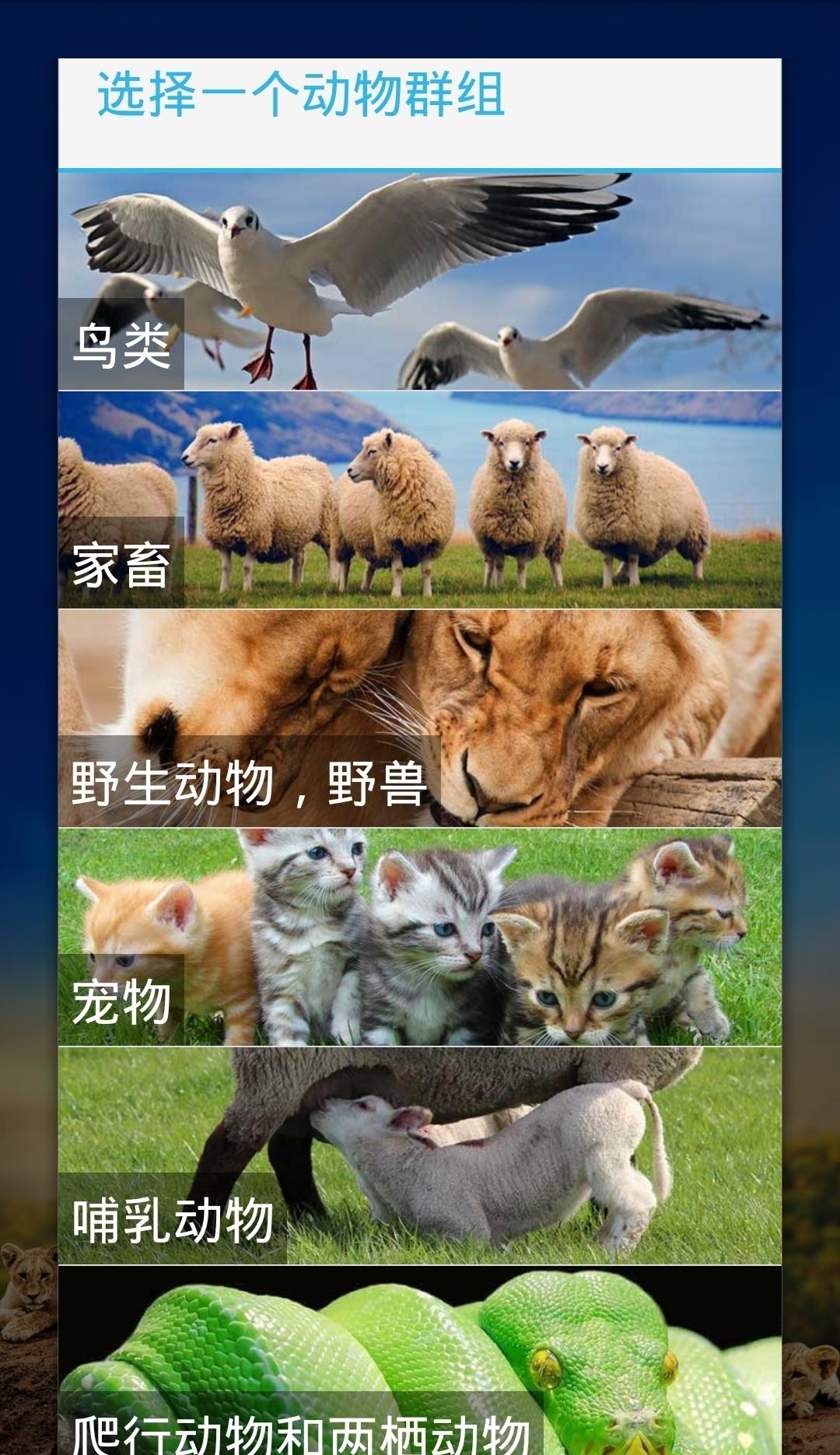 好多小可爱  v1.6.1023图1