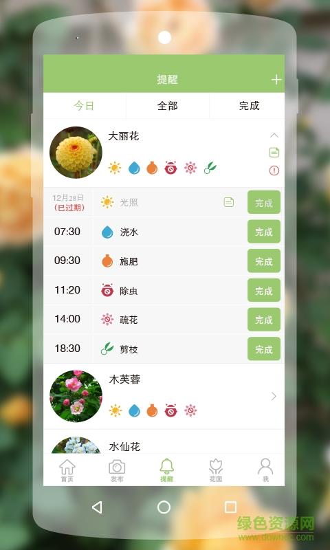 绿手指手机版  v5.2.8图4