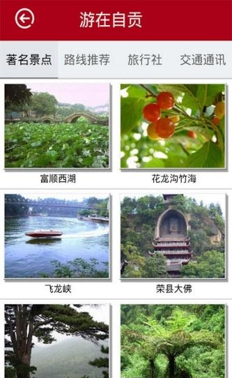 智慧自贡  v1.0.2图3