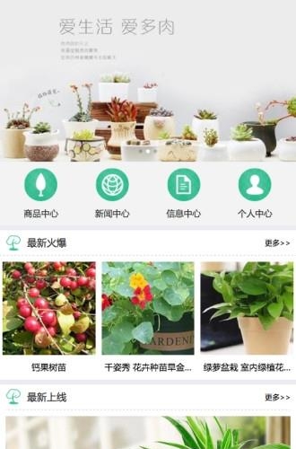 合肥苗木网  v1.0图1