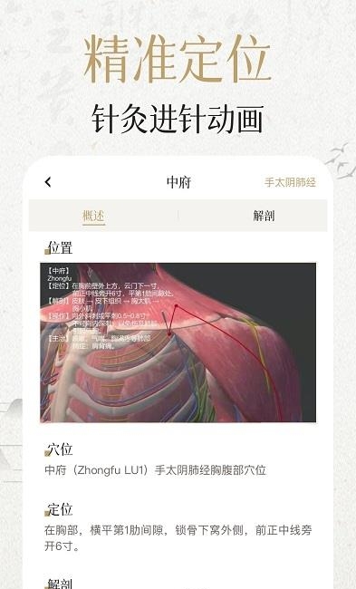 中济经络穴位  v2.6.5图2