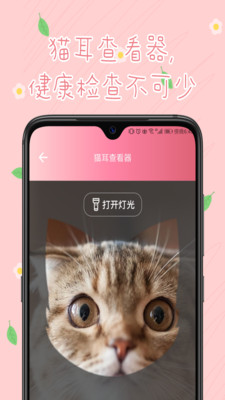 旻匠猫咪翻译器  v1.0.5图1