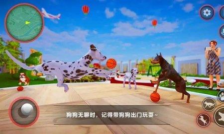 狗狗家庭陪伴（Curious  v0.3圖3