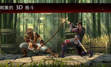 暗影格斗3  v1.29图1