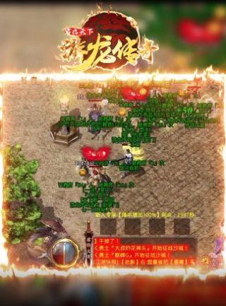 游龙传奇君临天下  v1.1.0图2