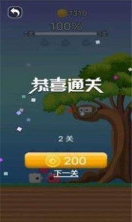 小鳥向前沖
