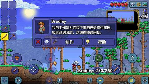 泰拉瑞亚最新汉化版  v1.4.4.9图2