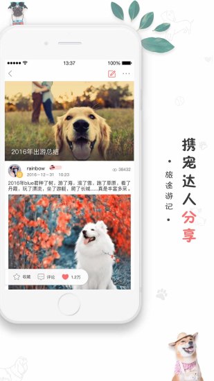 狗狗去哪儿  v4.5.1图4