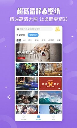 小鸟主题壁纸  v2.1.7图3