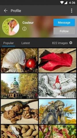 Pixabay  v1.1.3.1图1