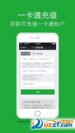 綠貓