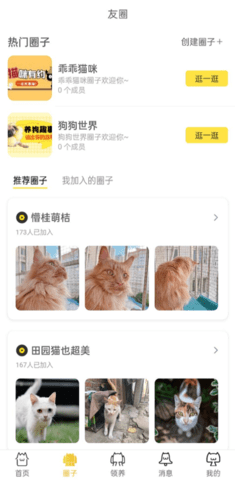 种猫家  v2.9.23图3