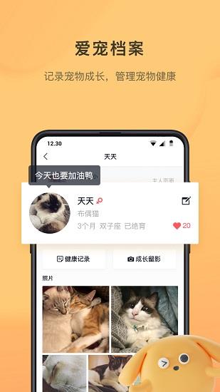 宠明  v2.2.8图1