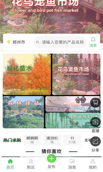 花木森林最新版  v1.0.0图2