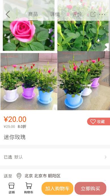 七彩云菊  v1.0.0圖1