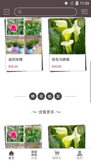 七彩云菊  v1.0.0圖3