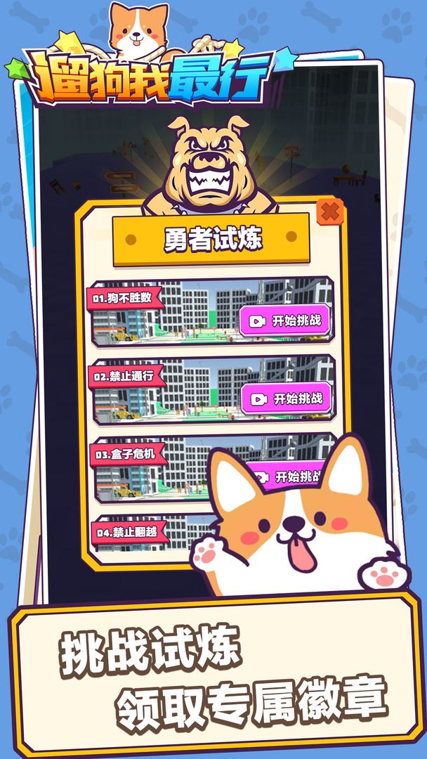 遛狗我最行  v1.0圖3