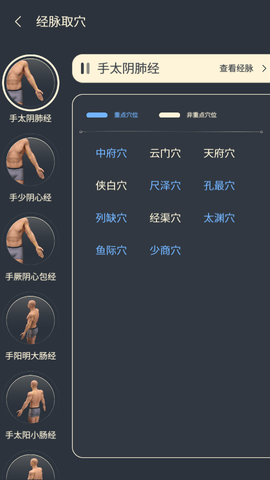 经脉宝  v2.17图2