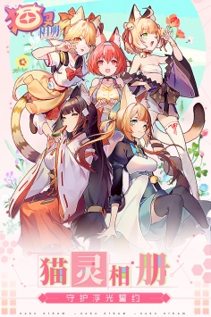 貓靈相冊