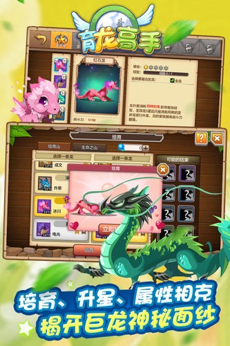 育龍高手  v2.8.0圖3