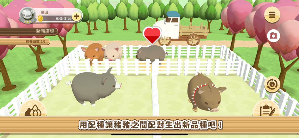養(yǎng)豬場3D  v3.03圖2