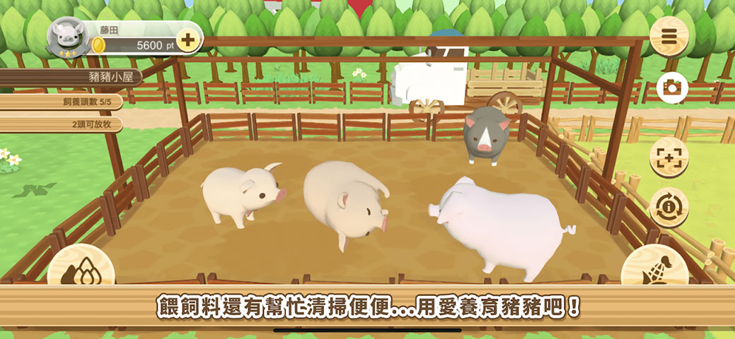 養(yǎng)豬場3D  v3.03圖3