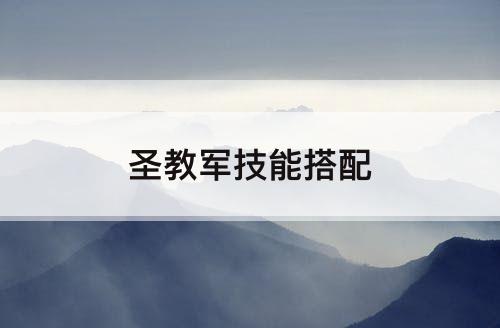 圣教军技能搭配