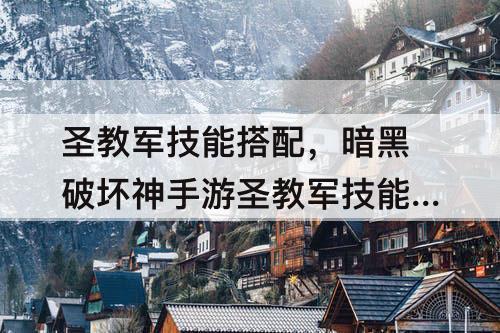 圣教军技能搭配，暗黑破坏神手游圣教军技能搭配