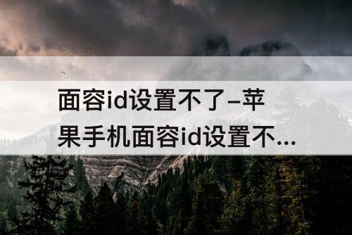 面容id设置不了-苹果手机面容id设置不了怎么办
