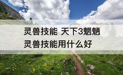 灵兽技能 天下3魍魉灵兽技能用什么好