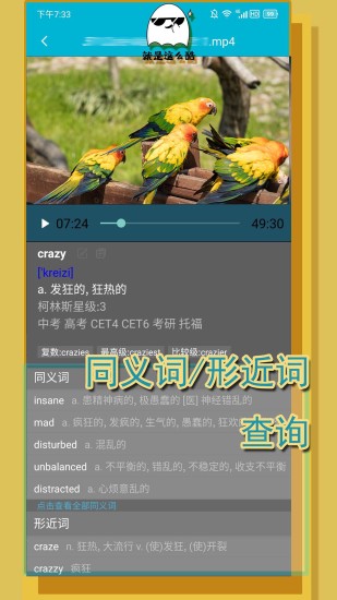 单词播放器  v1.0.0图1