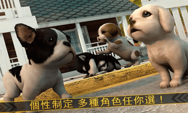 超級小汪大闖關  v1.0圖1