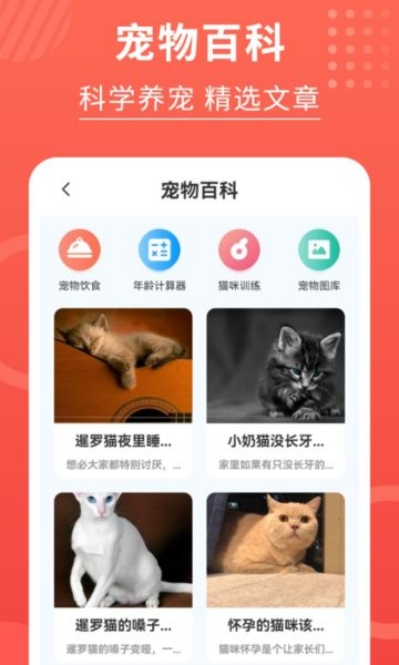 猫猫翻译器  v3.2.5图3