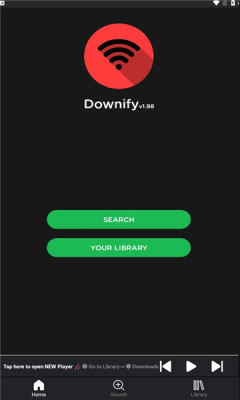 downify  v1.985图2